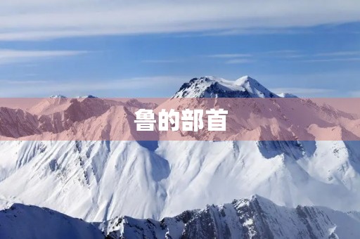 鲁的部首(鲁组词)