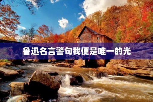 鲁迅名言警句我便是唯一的光,鲁迅名言警句我便是唯一的光原文 鲁迅名言警句我便是唯一的光,鲁迅名言警句我便是唯一的光原文