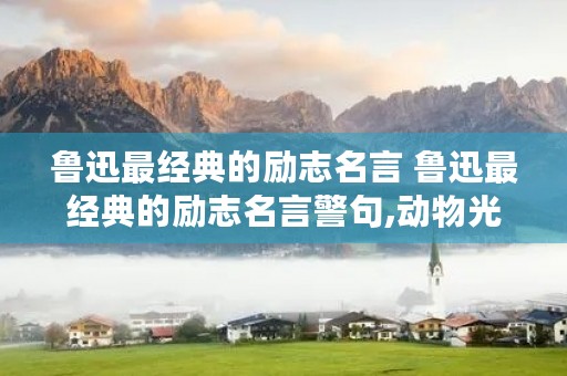 鲁迅最经典的励志名言 鲁迅最经典的励志名言警句,动物光吃不肥 鲁迅最经典的励志名言 鲁迅最经典的励志名言警句,动物光吃不肥