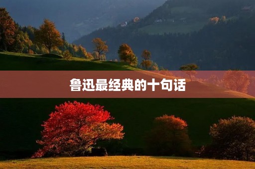 鲁迅最经典的十句话,鲁迅最经典的十句话短句 鲁迅最经典的十句话,鲁迅最经典的十句话短句