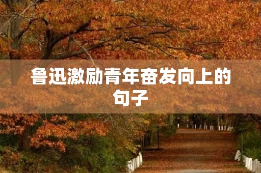 鲁迅激励青年奋发向上的句子(鲁迅先生激励青年的话)