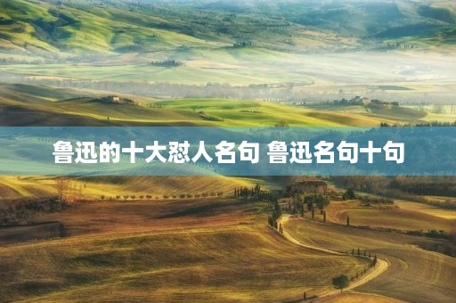 鲁迅的十大怼人名句 鲁迅名句十句