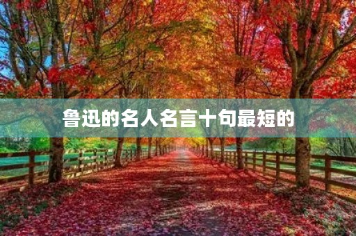 鲁迅的名人名言十句最短的,鲁迅的名人名言十句最短的关于读书 鲁迅的名人名言十句最短的,鲁迅的名人名言十句最短的关于读书
