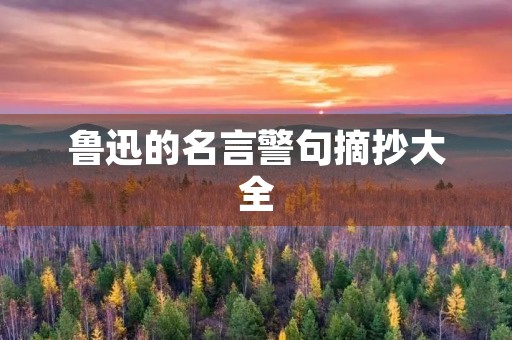 鲁迅的名言警句摘抄大全(鲁迅的名言警句摘抄大全短句)