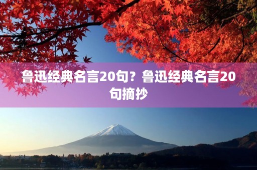 鲁迅经典名言20句？鲁迅经典名言20句摘抄