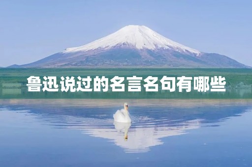 鲁迅说过的名言名句有哪些(鲁迅说过的名言名句有哪些三年级) 鲁迅说过的名言名句有哪些(鲁迅说过的名言名句有哪些三年级)