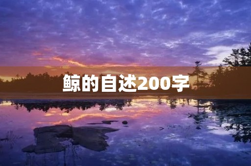 鲸的自述200字