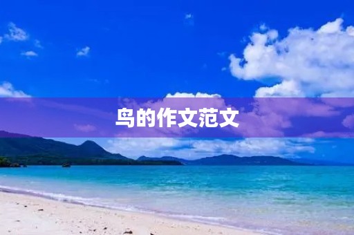 鸟的作文范文 鸟的作文范文