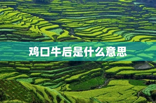 鸡口牛后是什么意思