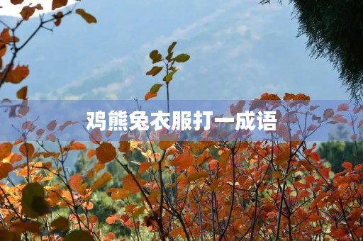 鸡熊兔衣服打一成语 鸡熊兔衣服打一成语