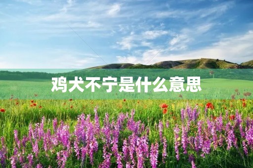鸡犬不宁是什么意思 鸡犬不宁是什么意思