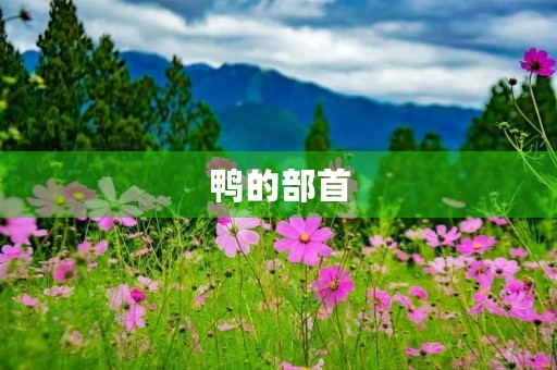 鸭的部首(鸭的偏旁)