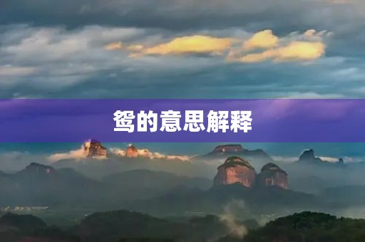 鸳的意思解释(鸳组词组)