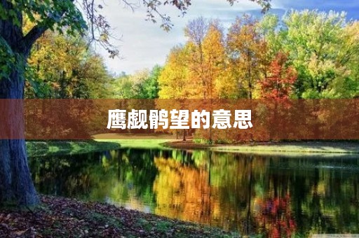 鹰觑鹘望的意思
