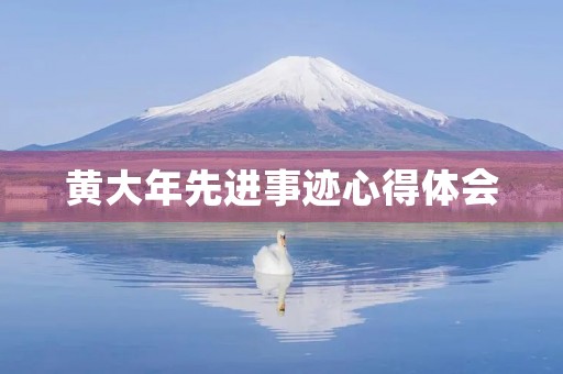 黄大年先进事迹心得体会