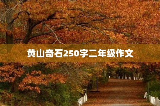 黄山奇石250字二年级作文 黄山奇石250字二年级作文