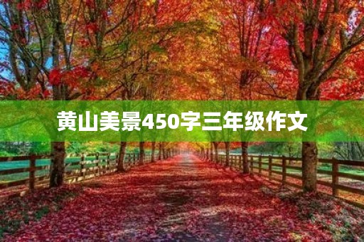 黄山美景450字三年级作文