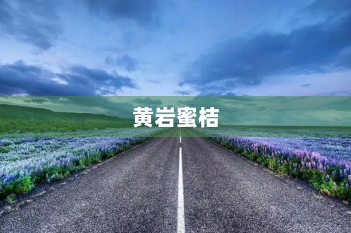 黄岩蜜桔