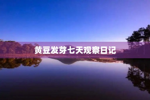 黄豆发芽七天观察日记 黄豆发芽七天观察日记