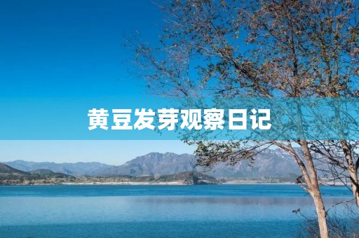 黄豆发芽观察日记