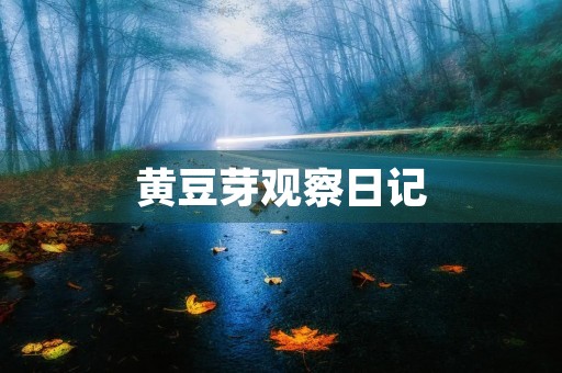 黄豆芽观察日记 黄豆芽观察日记