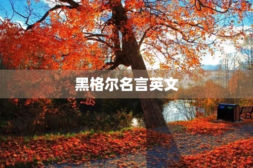 黑格尔名言英文，黑格尔名言英文翻译