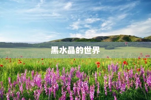 黑水晶的世界