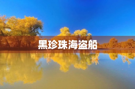 黑珍珠海盗船