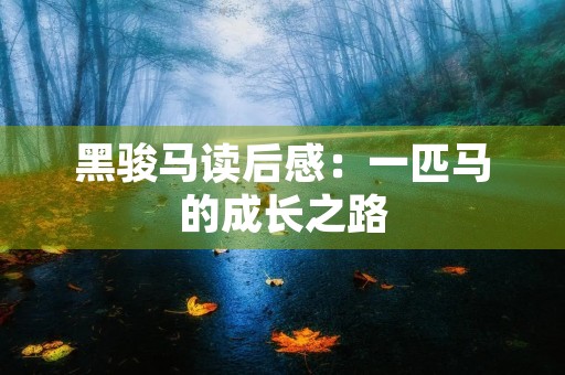 黑骏马读后感：一匹马的成长之路