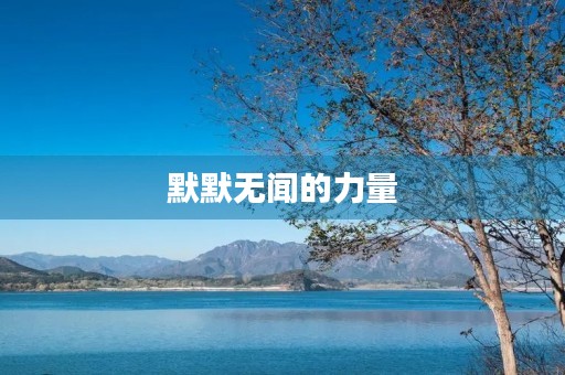 默默无闻的力量 默默无闻的力量