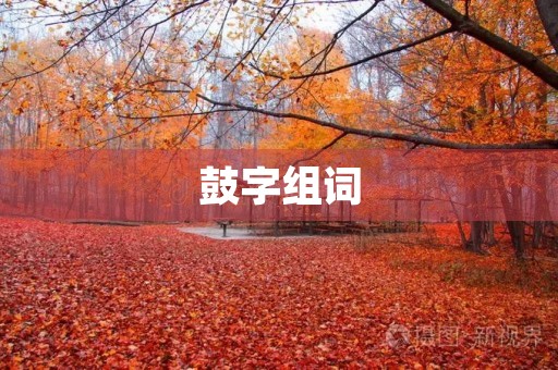 鼓字组词(鼓组词)