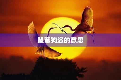 鼠窜狗盗的意思