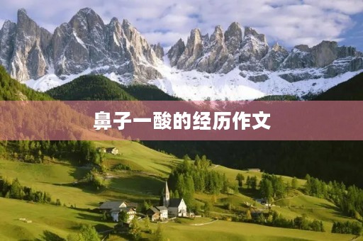 鼻子一酸的经历作文