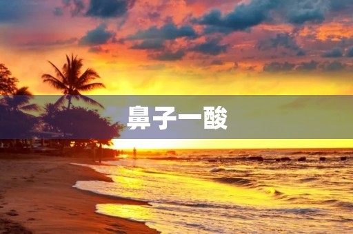 鼻子一酸,让我想起了那段经历 鼻子一酸,让我想起了那段经历