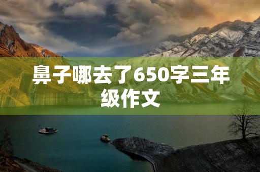 鼻子哪去了650字三年级作文 鼻子哪去了650字三年级作文