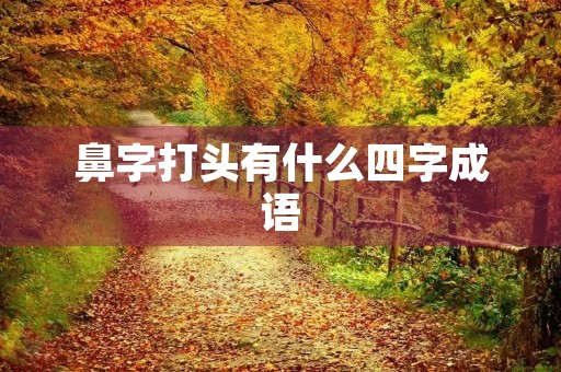 鼻字打头有什么四字成语