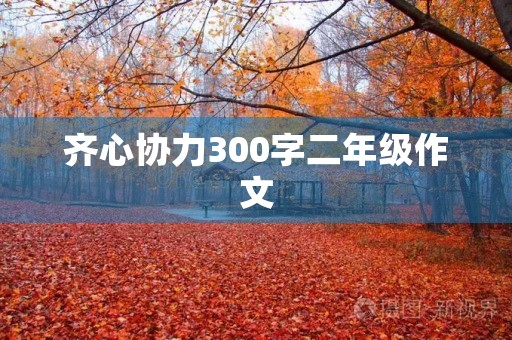 齐心协力300字二年级作文