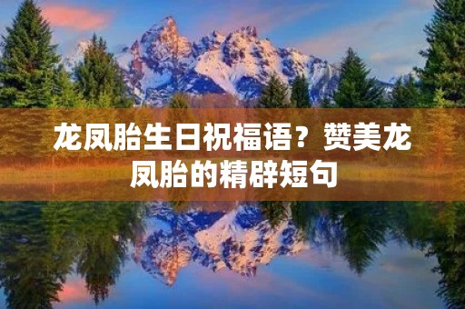 龙凤胎生日祝福语?赞美龙凤胎的精辟短句
