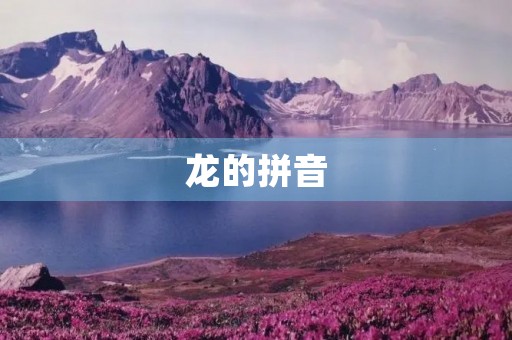 龙的拼音(龙组词)