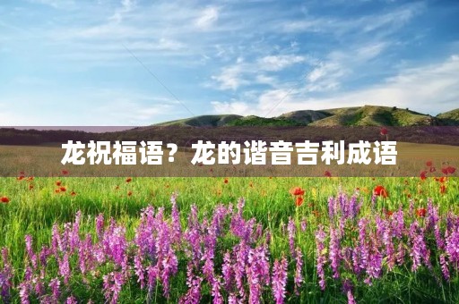 龙祝福语?龙的谐音吉利成语