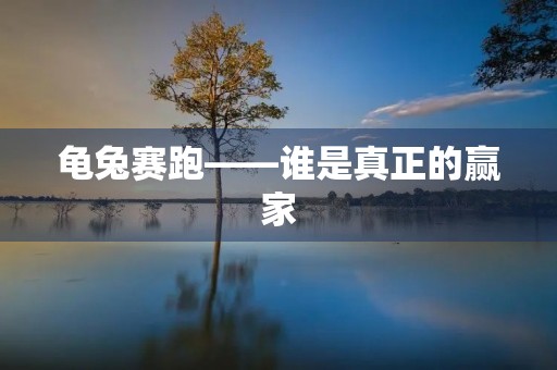 龟兔赛跑——谁是真正的赢家