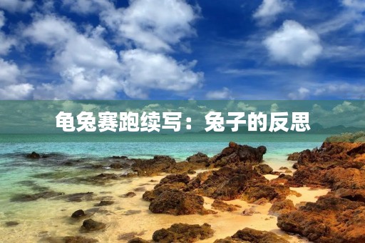 龟兔赛跑续写：兔子的反思