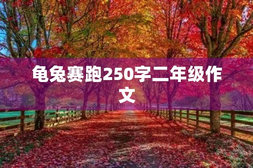 龟兔赛跑250字二年级作文