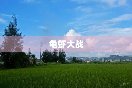 龟虾大战 龟虾大战