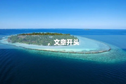 ，文章开头，标签，作文，日记