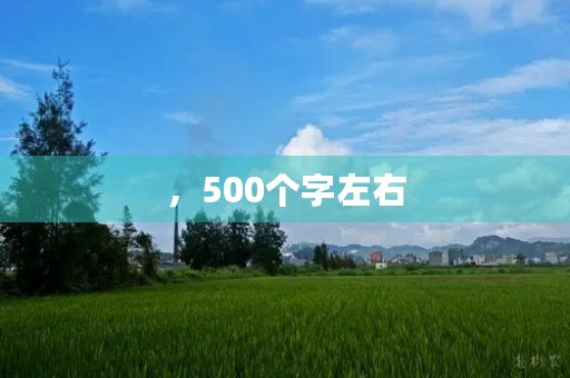 ,500个字左右,禁止使用特定词汇。 ,500个字左右,禁止使用特定词汇。