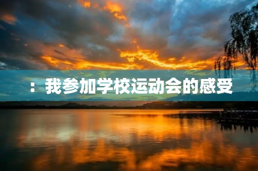 :我参加学校运动会的感受 :我参加学校运动会的感受
