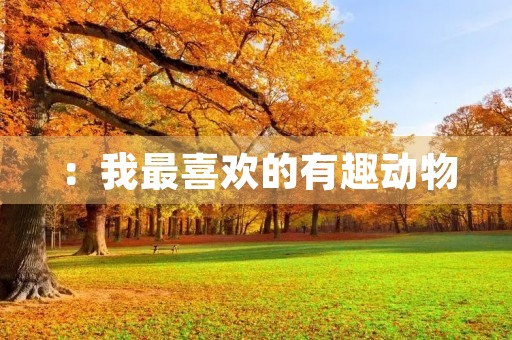 :我最喜欢的有趣动物 :我最喜欢的有趣动物