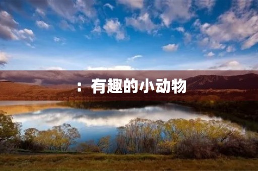 :有趣的小动物 :有趣的小动物