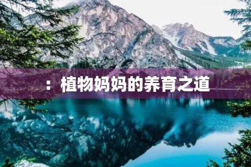 :植物妈妈的养育之道 :植物妈妈的养育之道